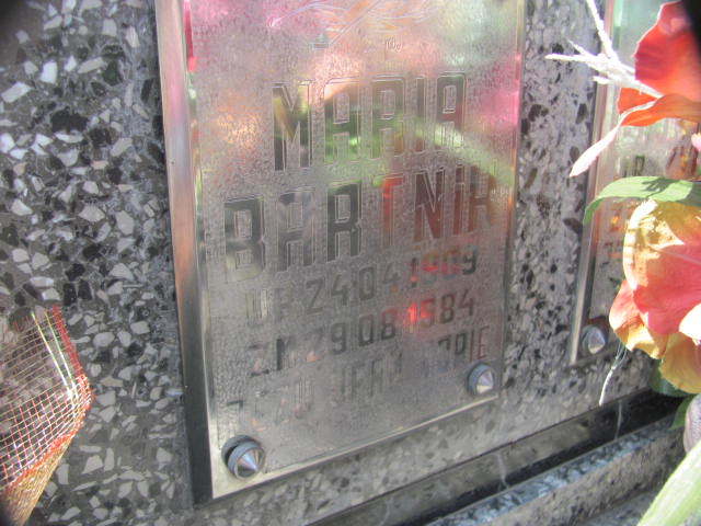 Tadeusz Bartnik 1909 Wierzchosławice - Grobonet - Wyszukiwarka osób pochowanych