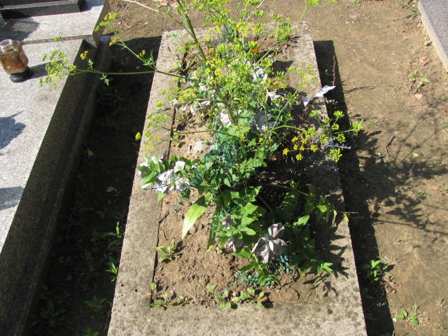 Bolesław Rodak 1938 Wierzchosławice - Grobonet - Wyszukiwarka osób pochowanych