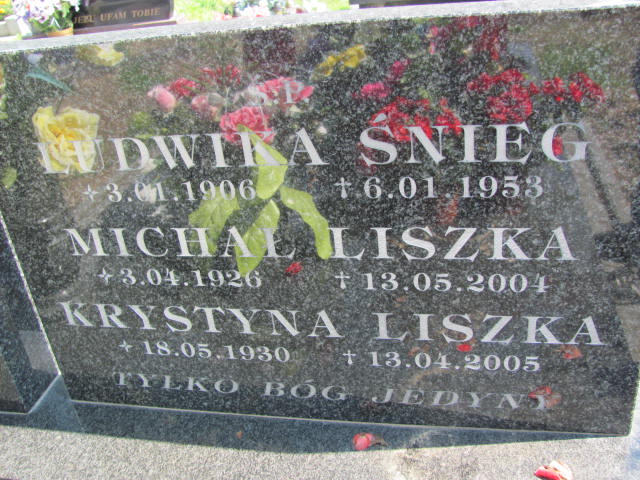 Ludwika Śnieg 1906 Wierzchosławice - Grobonet - Wyszukiwarka osób pochowanych