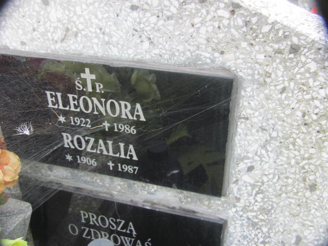 Ignacy Witos 1878 Wierzchosławice - Grobonet - Wyszukiwarka osób pochowanych